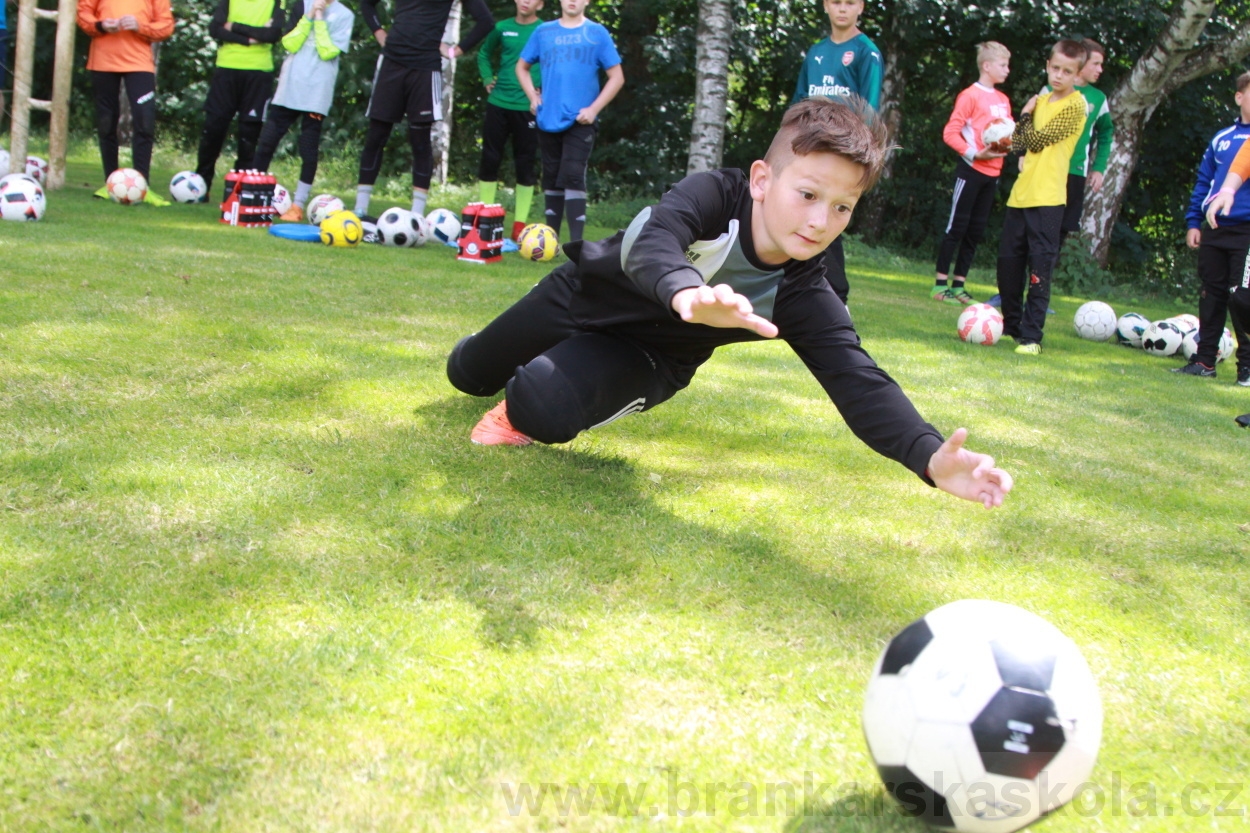 BFŠJCH - Léto 2019 - 5.7.2019