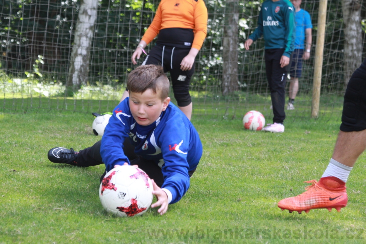 BFŠJCH - Léto 2019 - 5.7.2019