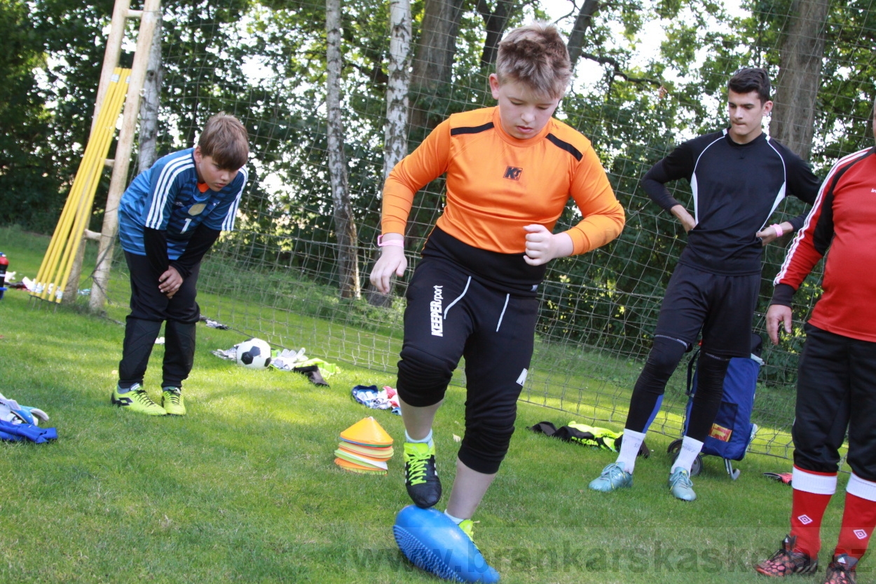 BFŠJCH - Léto 2019 - 6.7.2019