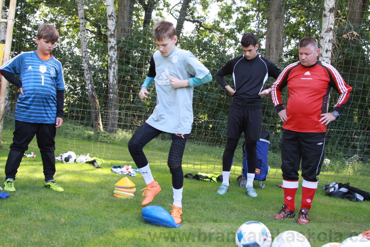 BFŠJCH - Léto 2019 - 6.7.2019