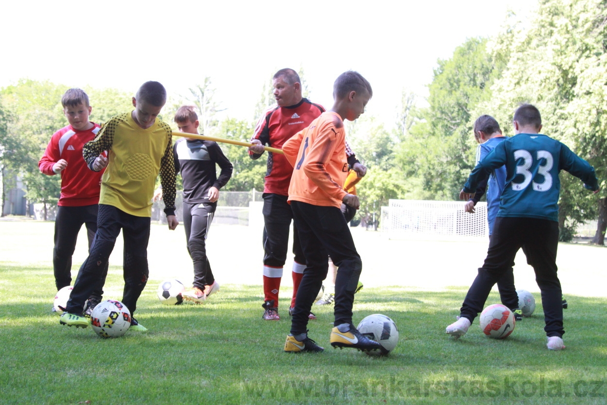 BFŠJCH - Léto 2019 - 6.7.2019