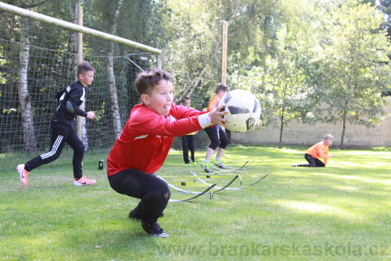 BFŠJCH - Léto 2019 - 6.7.2019