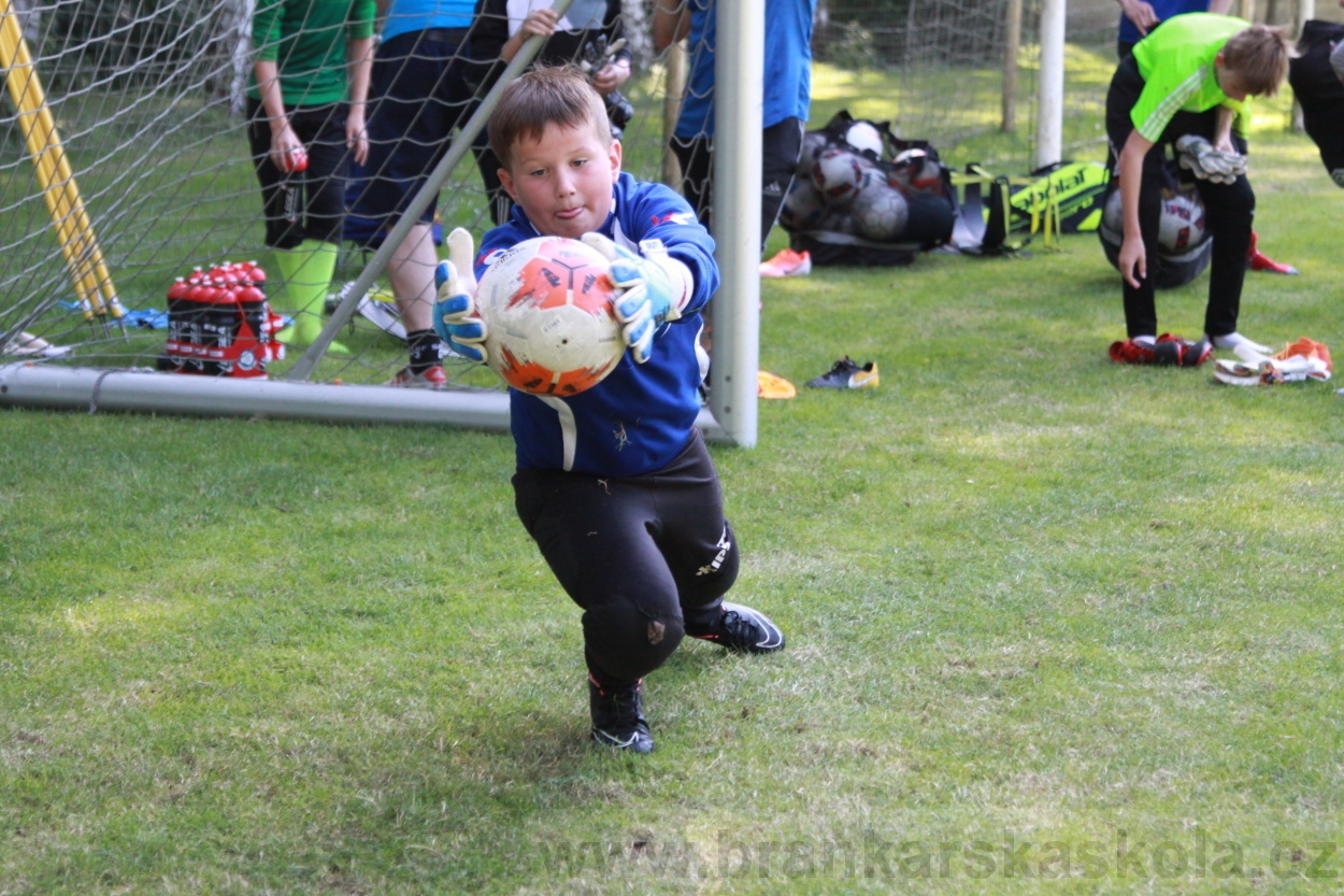 BFŠJCH - Léto 2019 - 6.7.2019
