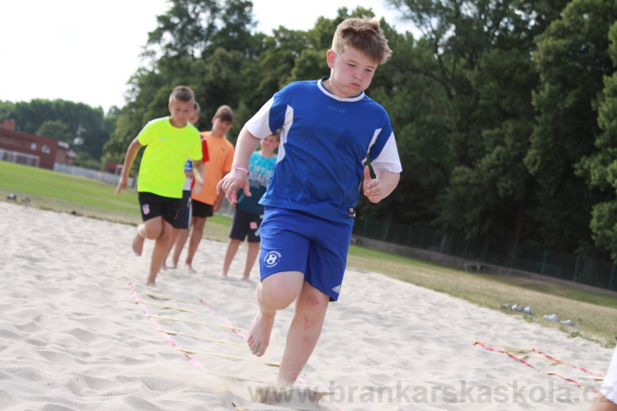 BFŠJCH - Léto 2019 - 6.7.2019