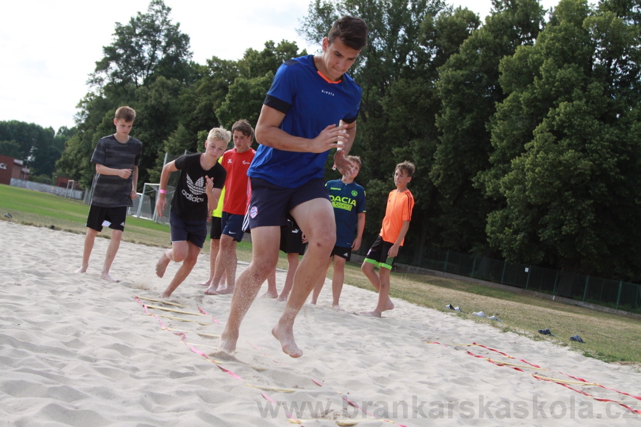 BFŠJCH - Léto 2019 - 6.7.2019