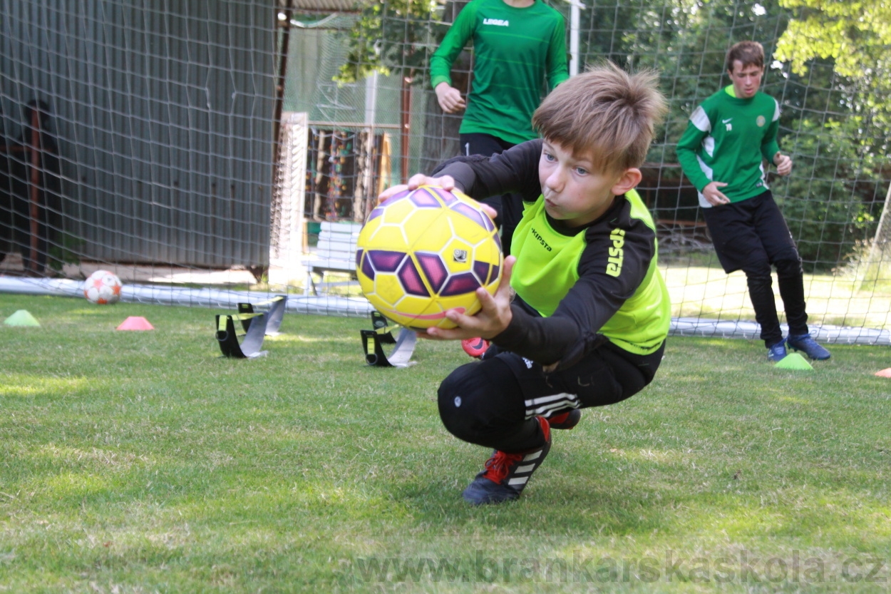 BFŠJCH - Léto 2019 - 6.7.2019