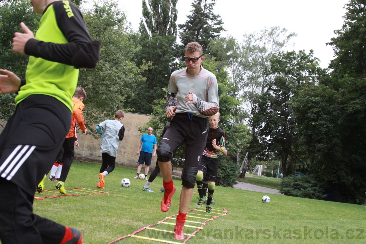 BFŠJCH - Léto 2019 - 7.7.2019