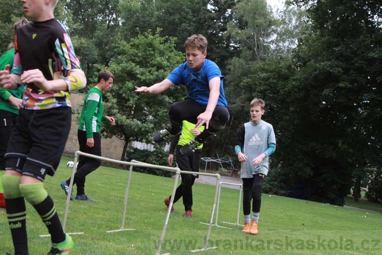 BFŠJCH - Léto 2019 - 7.7.2019