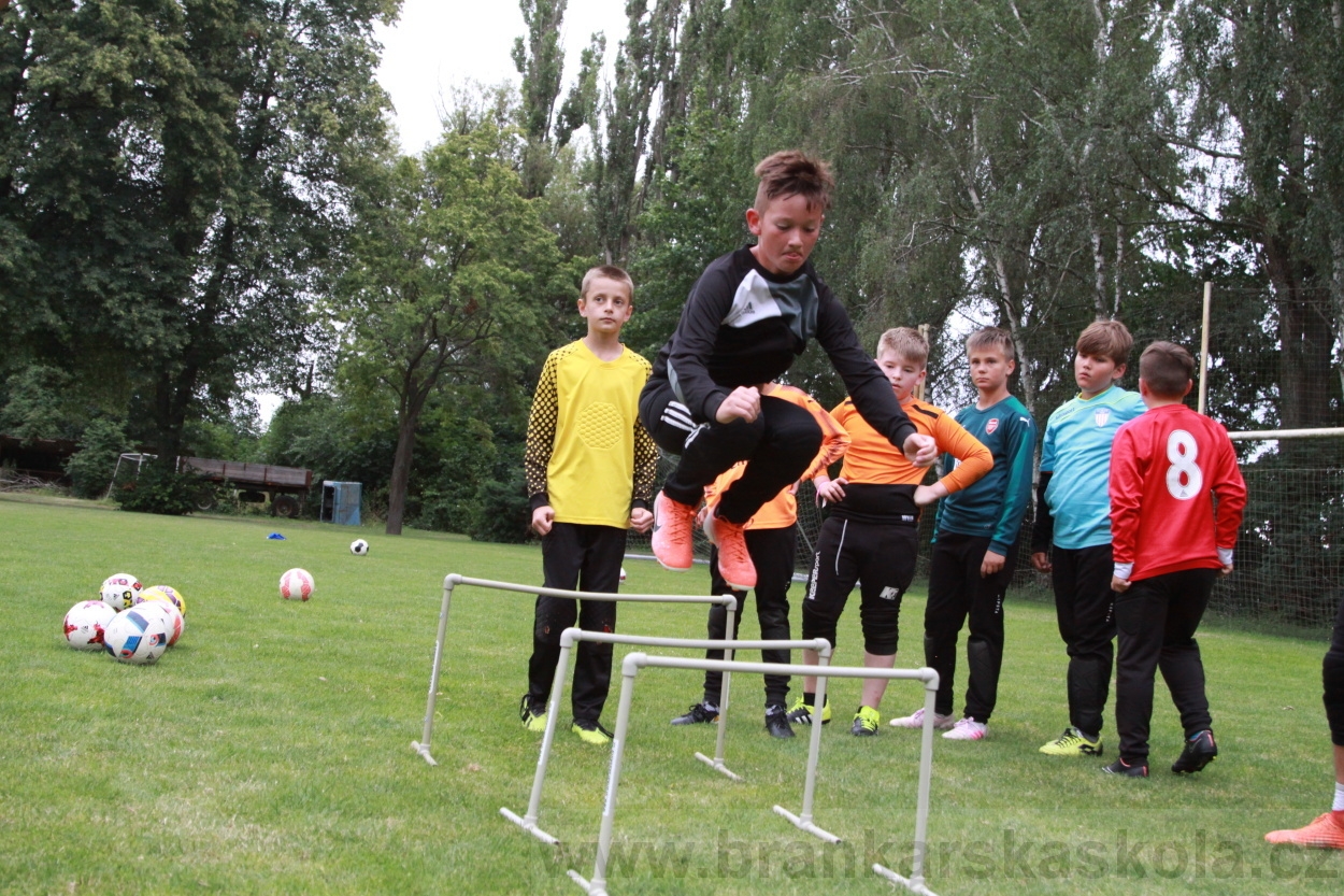 BFŠJCH - Léto 2019 - 7.7.2019