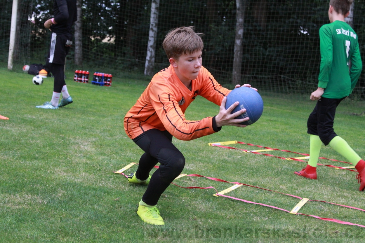 BFŠJCH - Léto 2019 - 7.7.2019