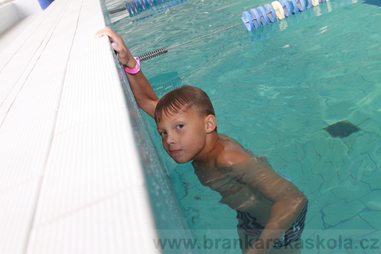 BFŠJCH - Léto 2019 - 7.7.2019