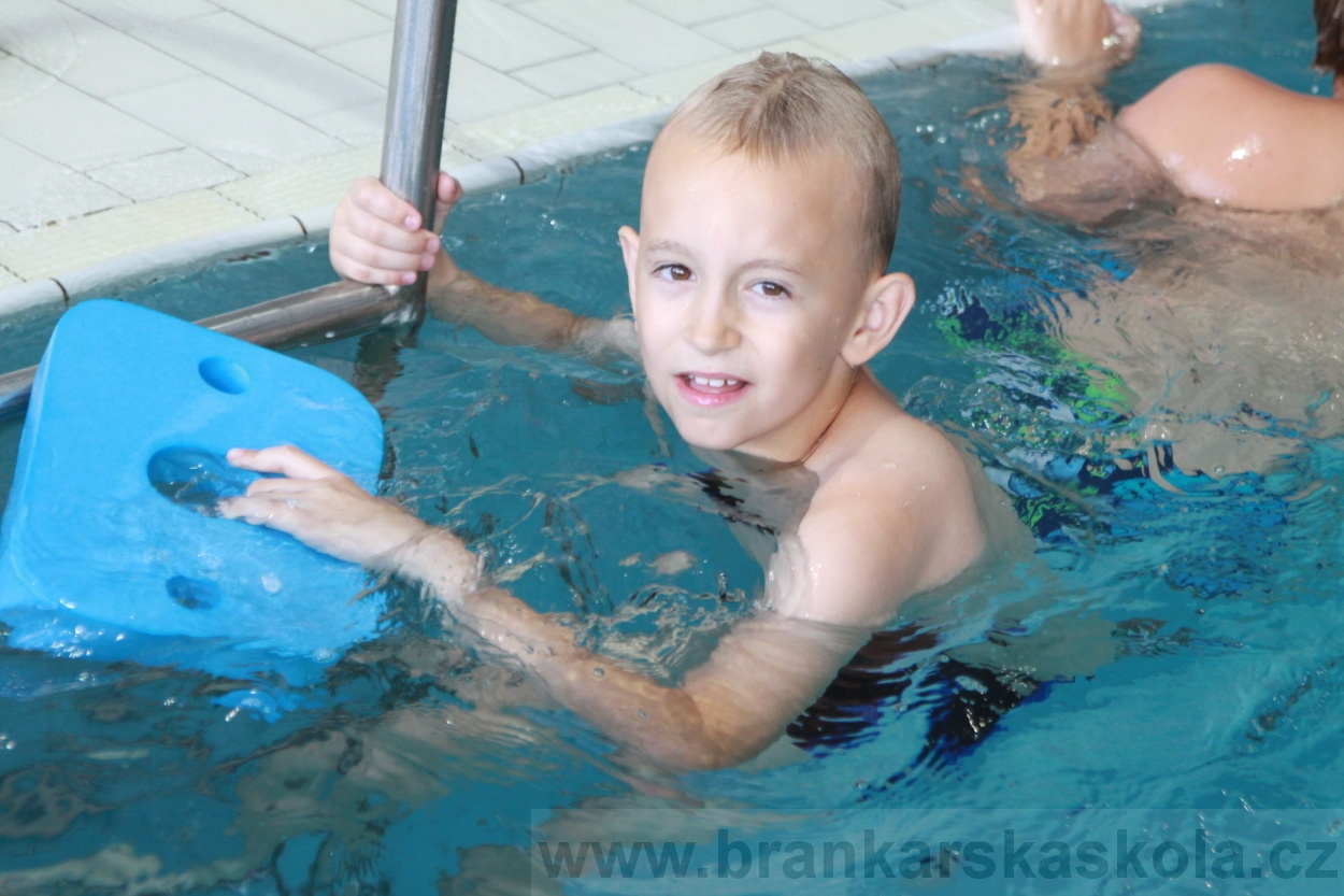 BFŠJCH - Léto 2019 - 4.8.2019