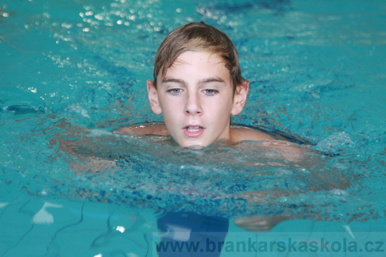 BFŠJCH - Léto 2019 - 4.8.2019