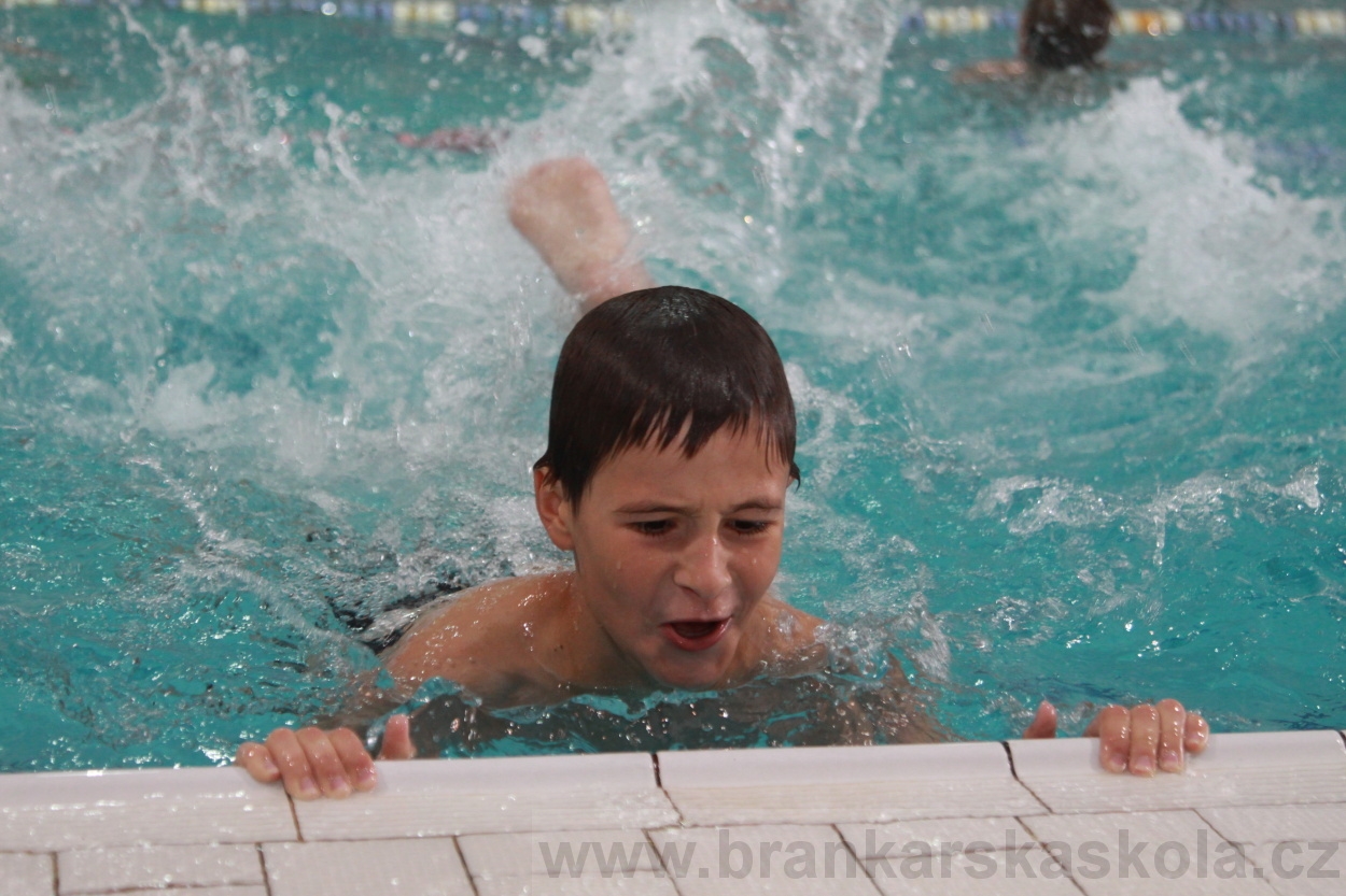 BFŠJCH - Léto 2019 - 4.8.2019