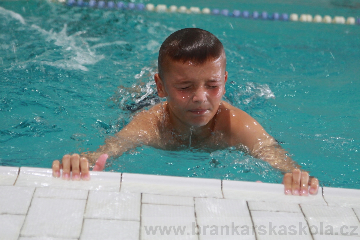 BFŠJCH - Léto 2019 - 4.8.2019