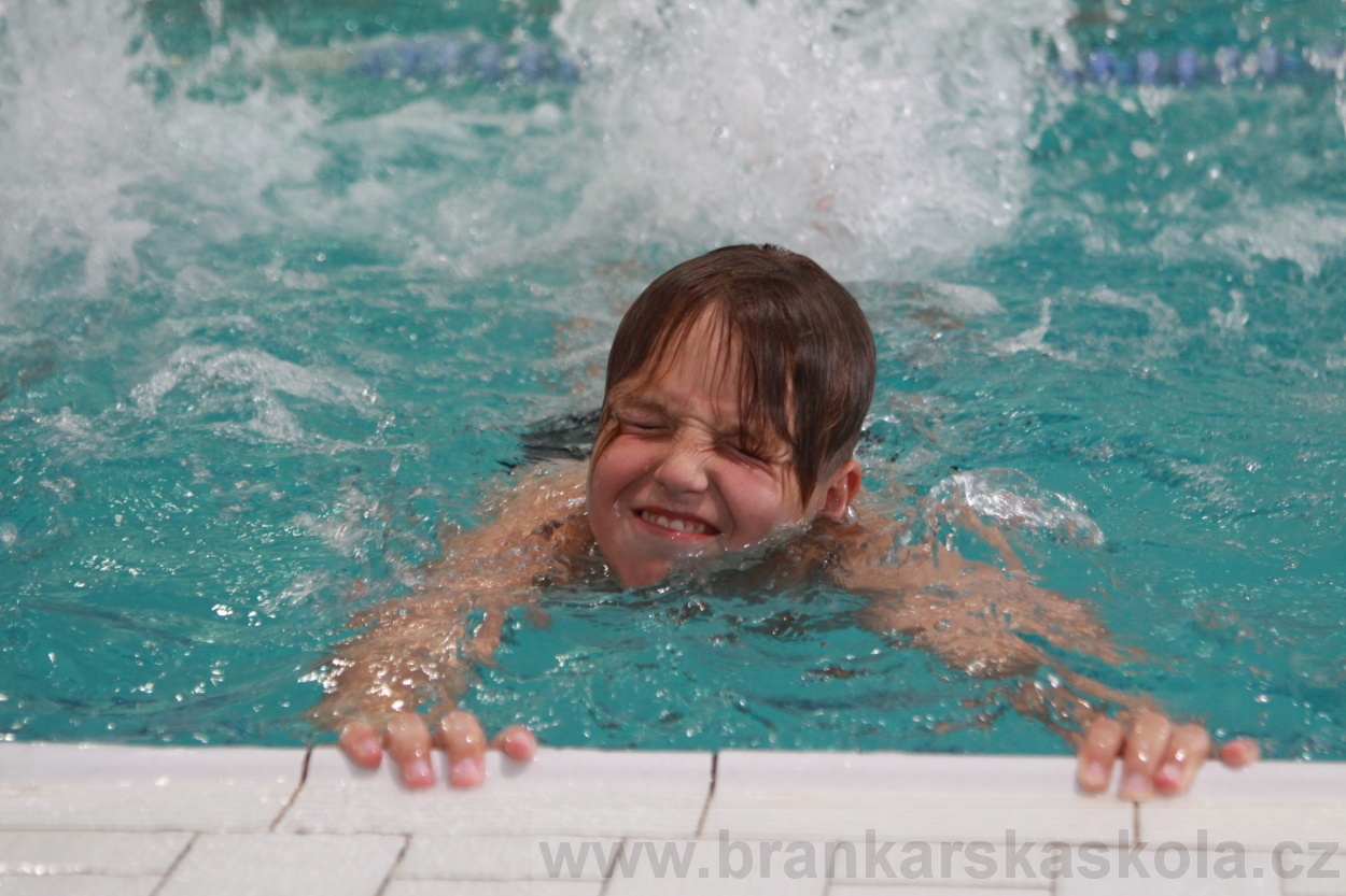 BFŠJCH - Léto 2019 - 4.8.2019