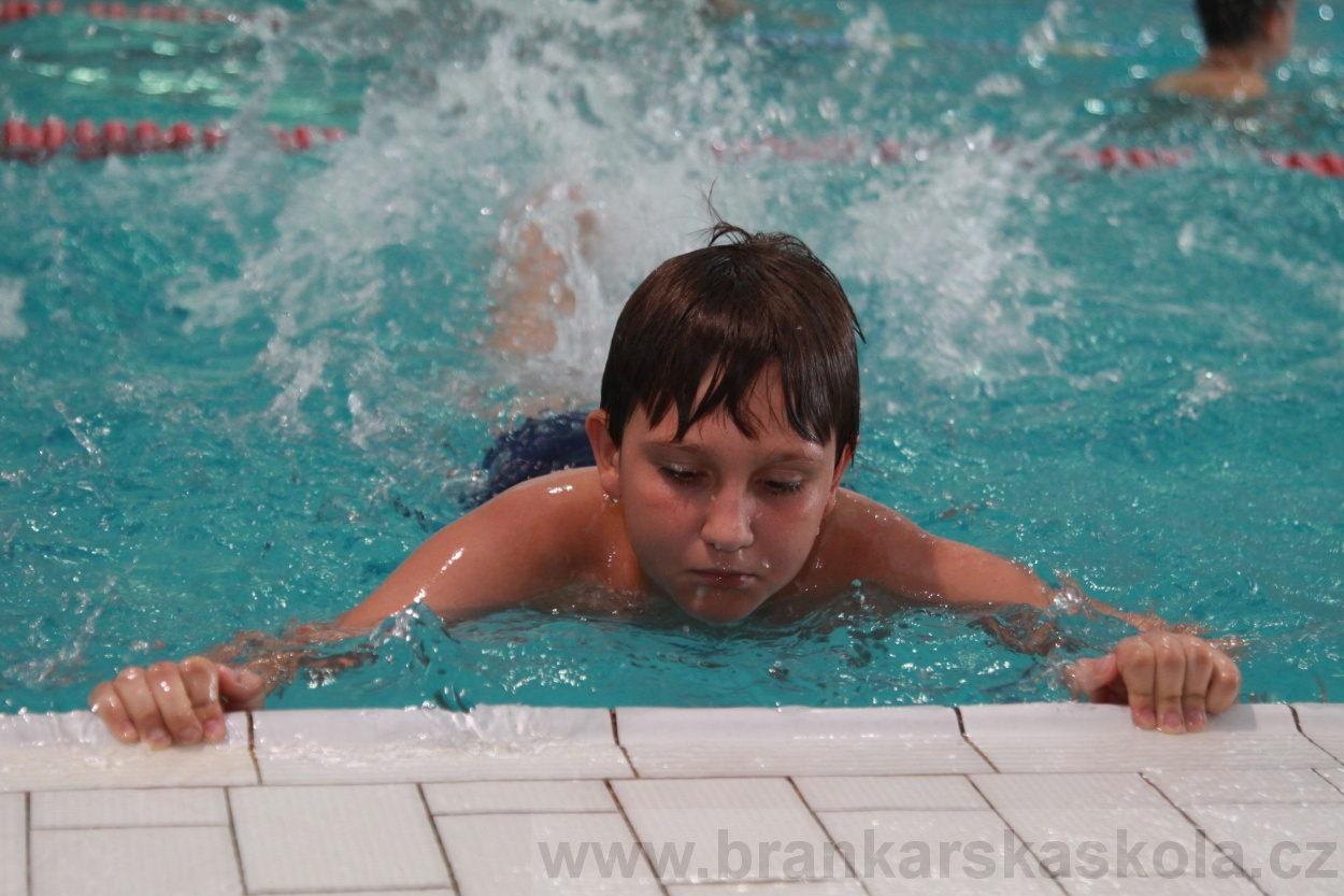 BFŠJCH - Léto 2019 - 4.8.2019