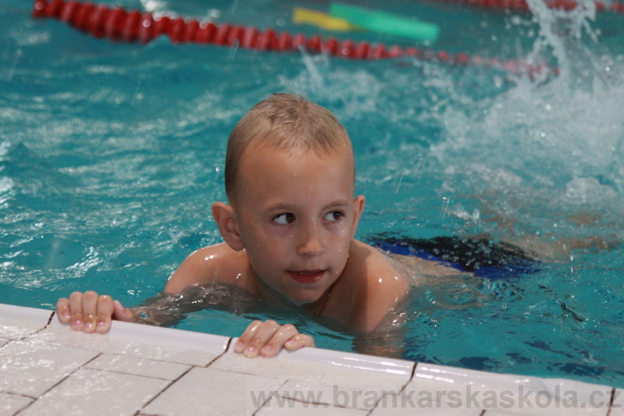 BFŠJCH - Léto 2019 - 4.8.2019