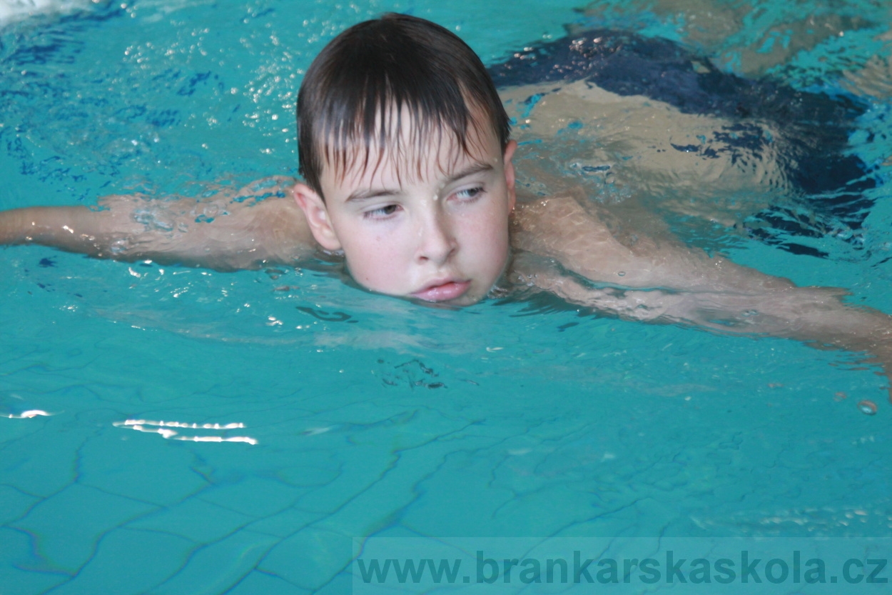 BFŠJCH - Léto 2019 - 4.8.2019