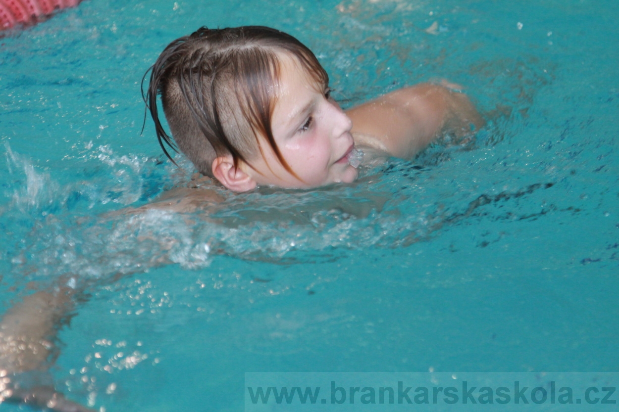 BFŠJCH - Léto 2019 - 4.8.2019