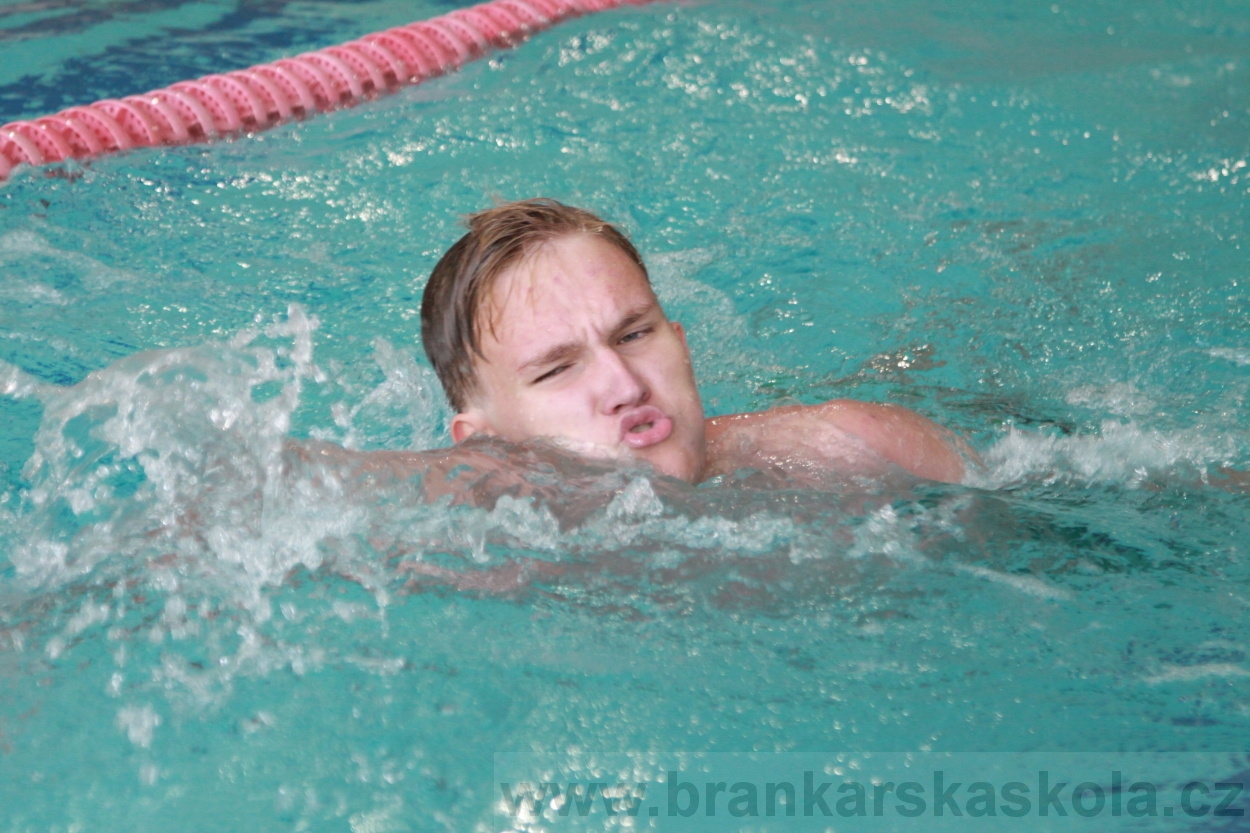 BFŠJCH - Léto 2019 - 4.8.2019