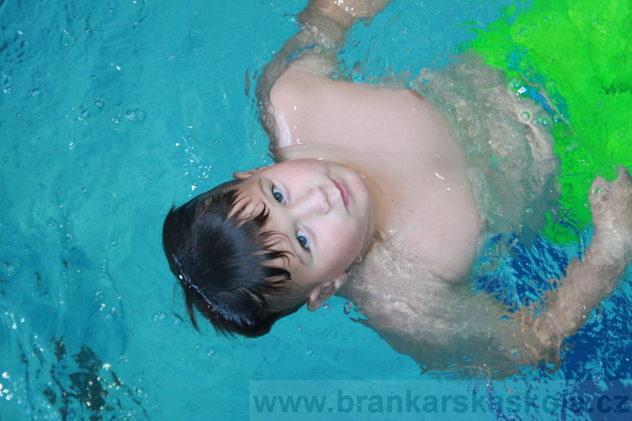 BFŠJCH - Léto 2019 - 4.8.2019