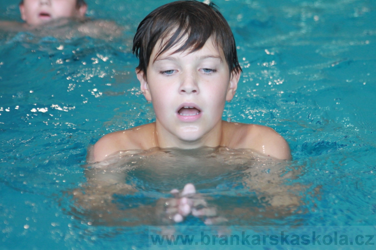 BFŠJCH - Léto 2019 - 4.8.2019