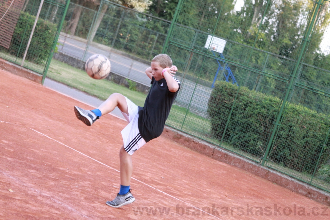 BFŠJCH - Léto 2019 - 4.8.2019