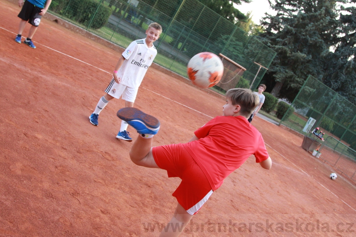 BFŠJCH - Léto 2019 - 4.8.2019