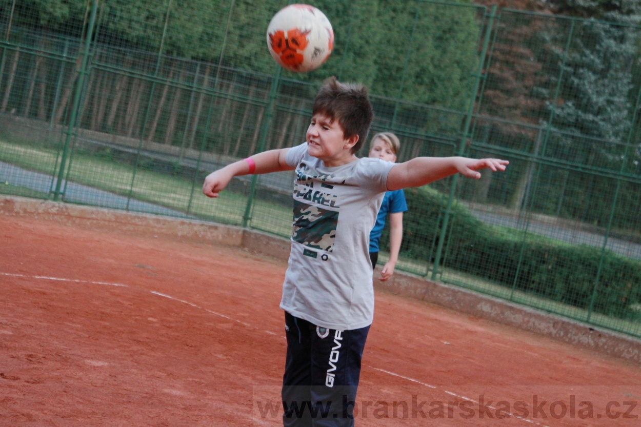 BFŠJCH - Léto 2019 - 4.8.2019