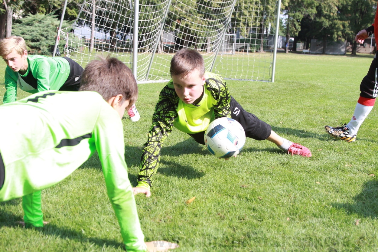 BFŠJCH - Léto 2019 - 5.8.2019