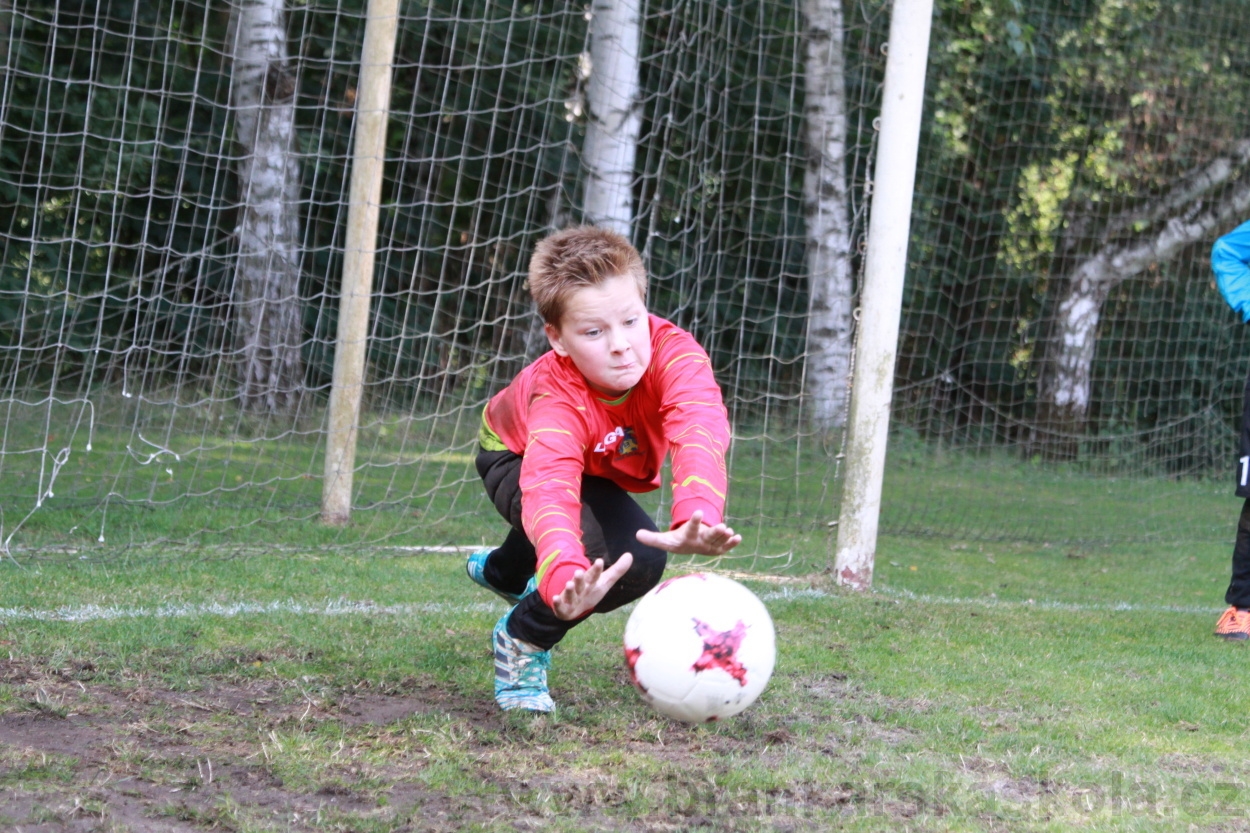 BFŠJCH - Léto 2019 - 5.8.2019