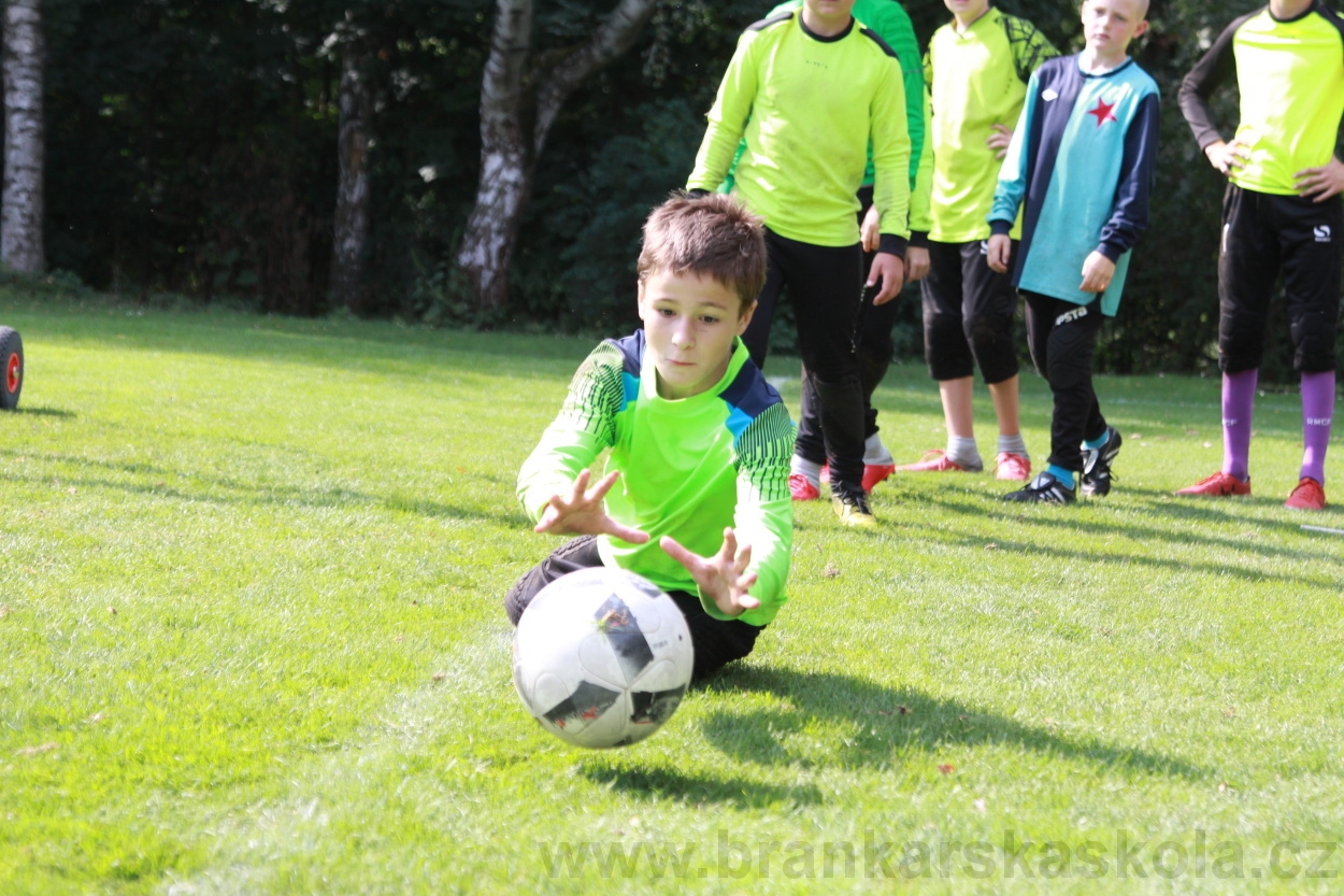 BFŠJCH - Léto 2019 - 5.8.2019