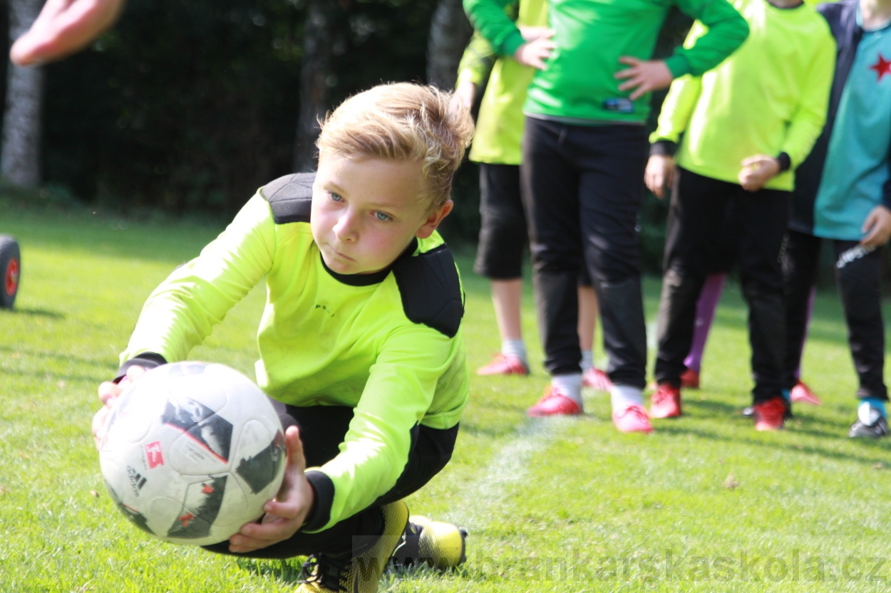 BFŠJCH - Léto 2019 - 5.8.2019