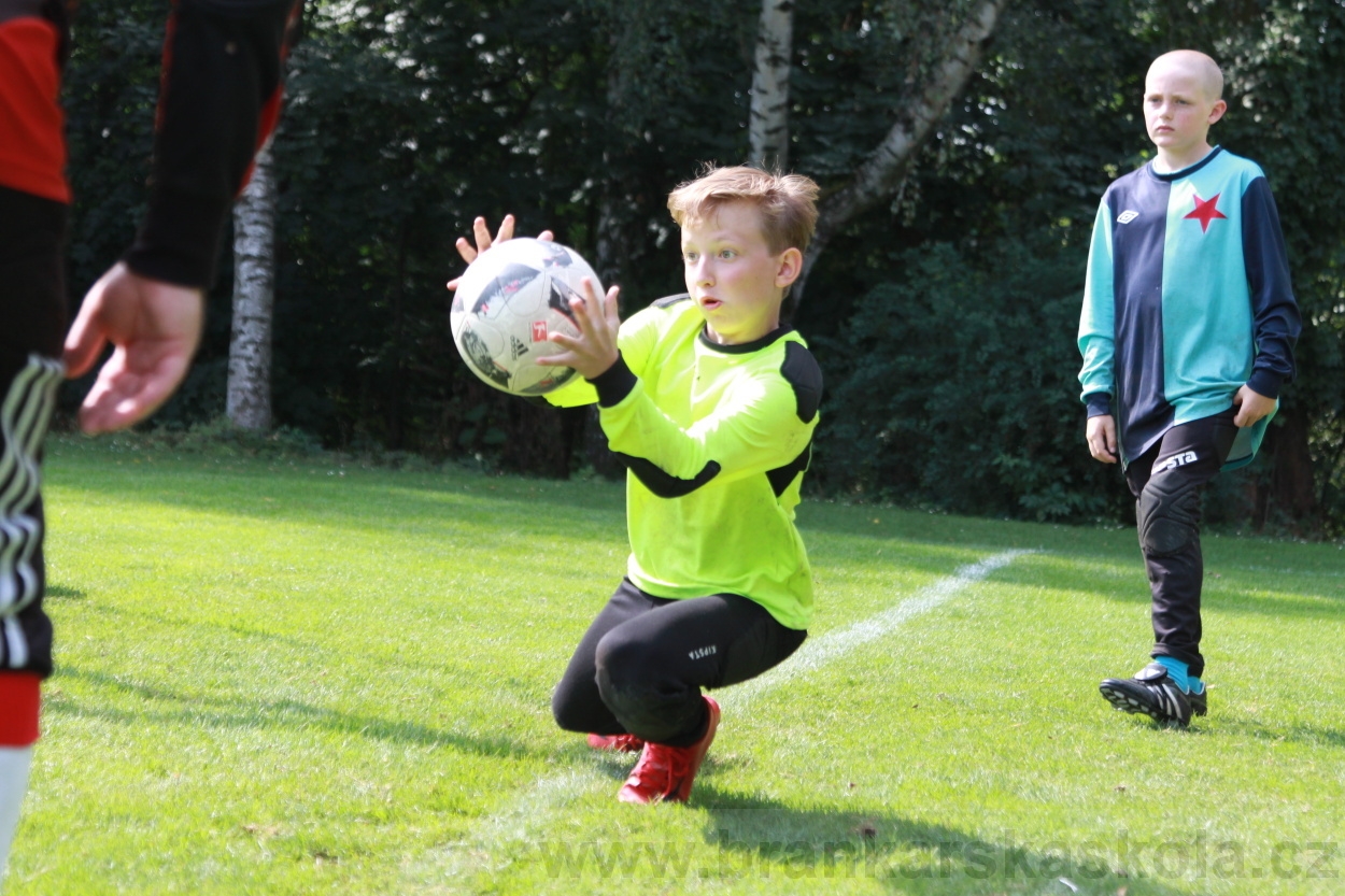 BFŠJCH - Léto 2019 - 5.8.2019