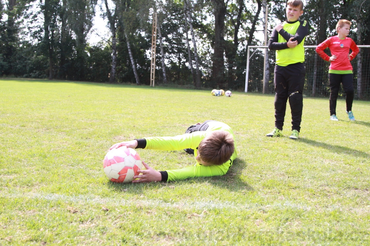 BFŠJCH - Léto 2019 - 5.8.2019