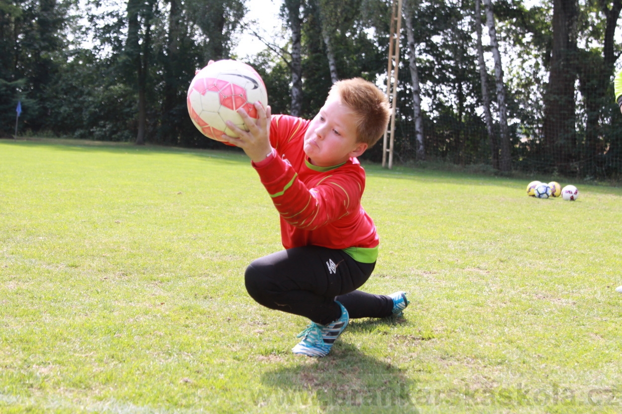 BFŠJCH - Léto 2019 - 5.8.2019