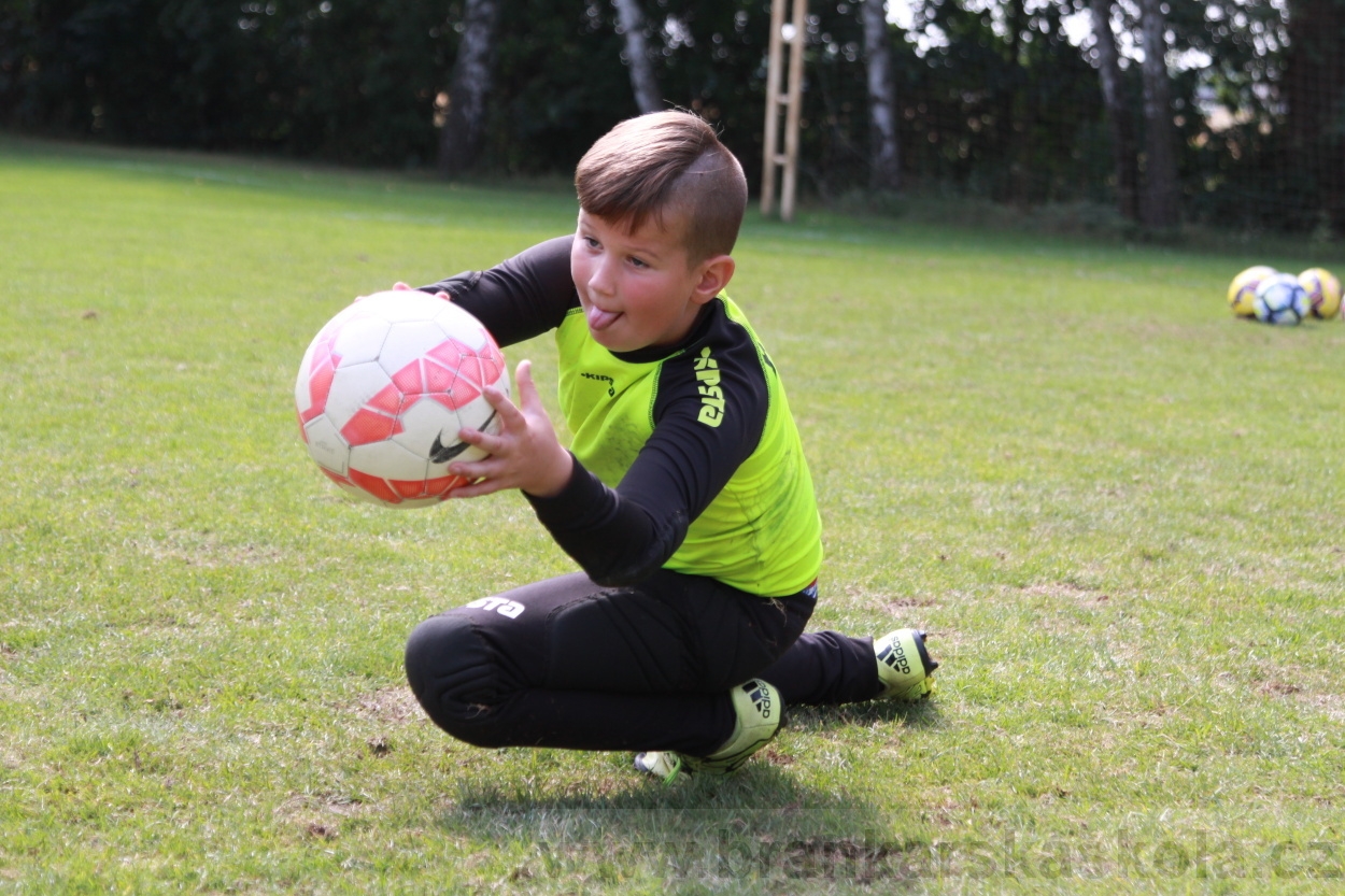 BFŠJCH - Léto 2019 - 5.8.2019