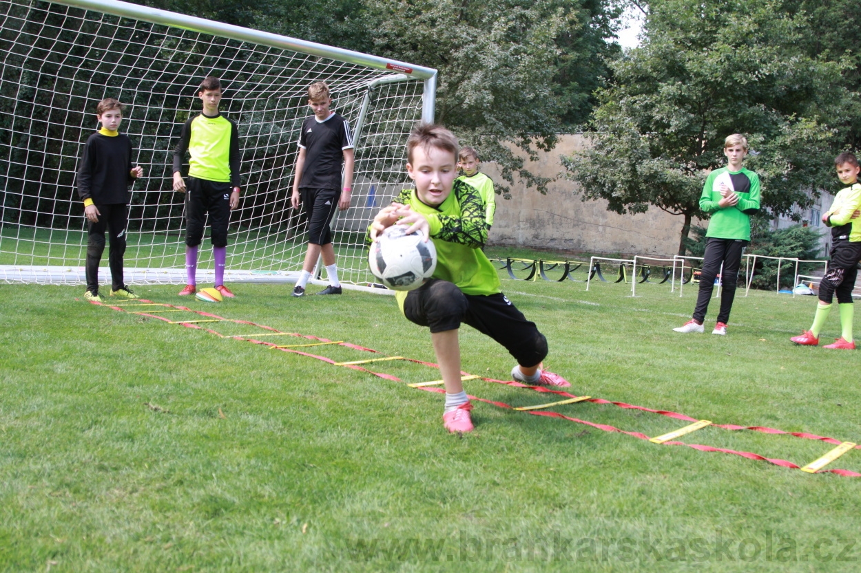 BFŠJCH - Léto 2019 - 5.8.2019