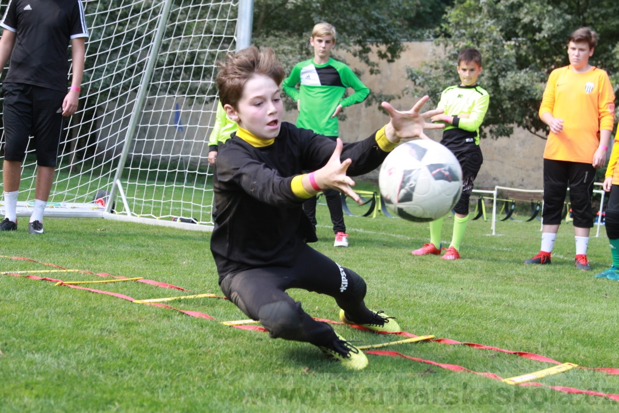 BFŠJCH - Léto 2019 - 5.8.2019