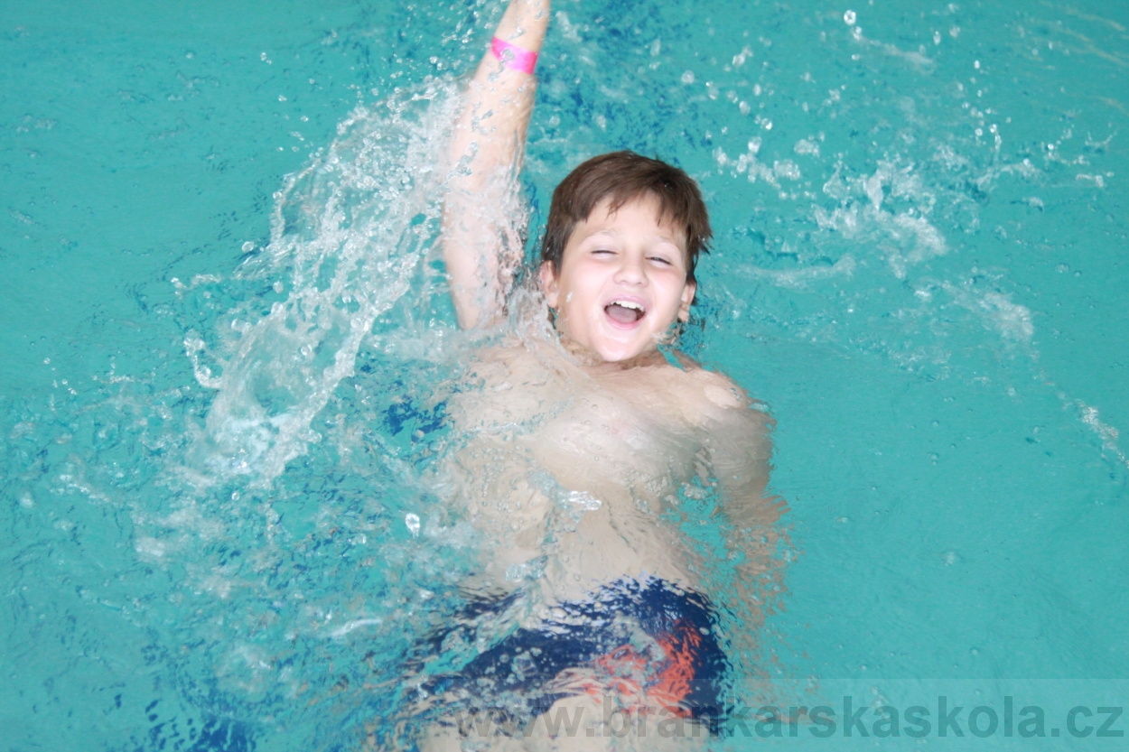 BFŠJCH - Léto 2019 - 5.8.2019