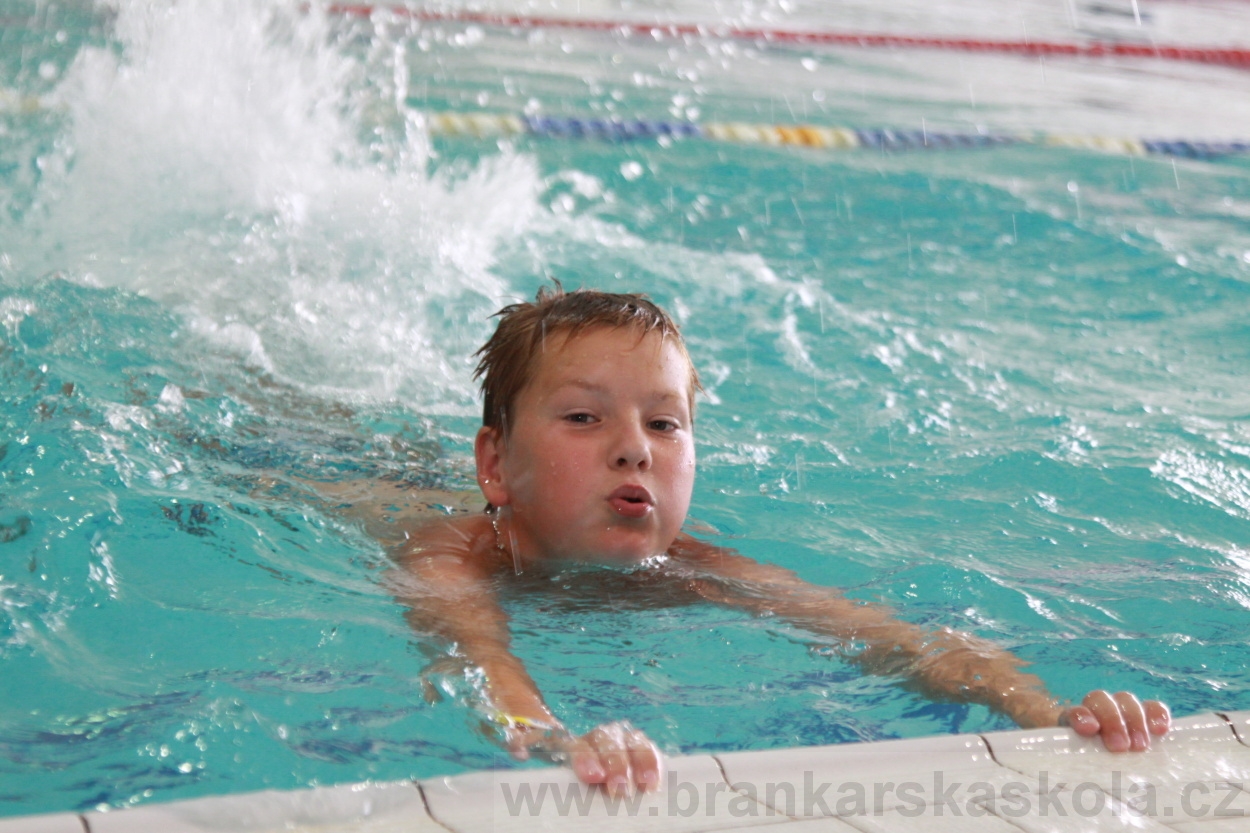 BFŠJCH - Léto 2019 - 5.8.2019