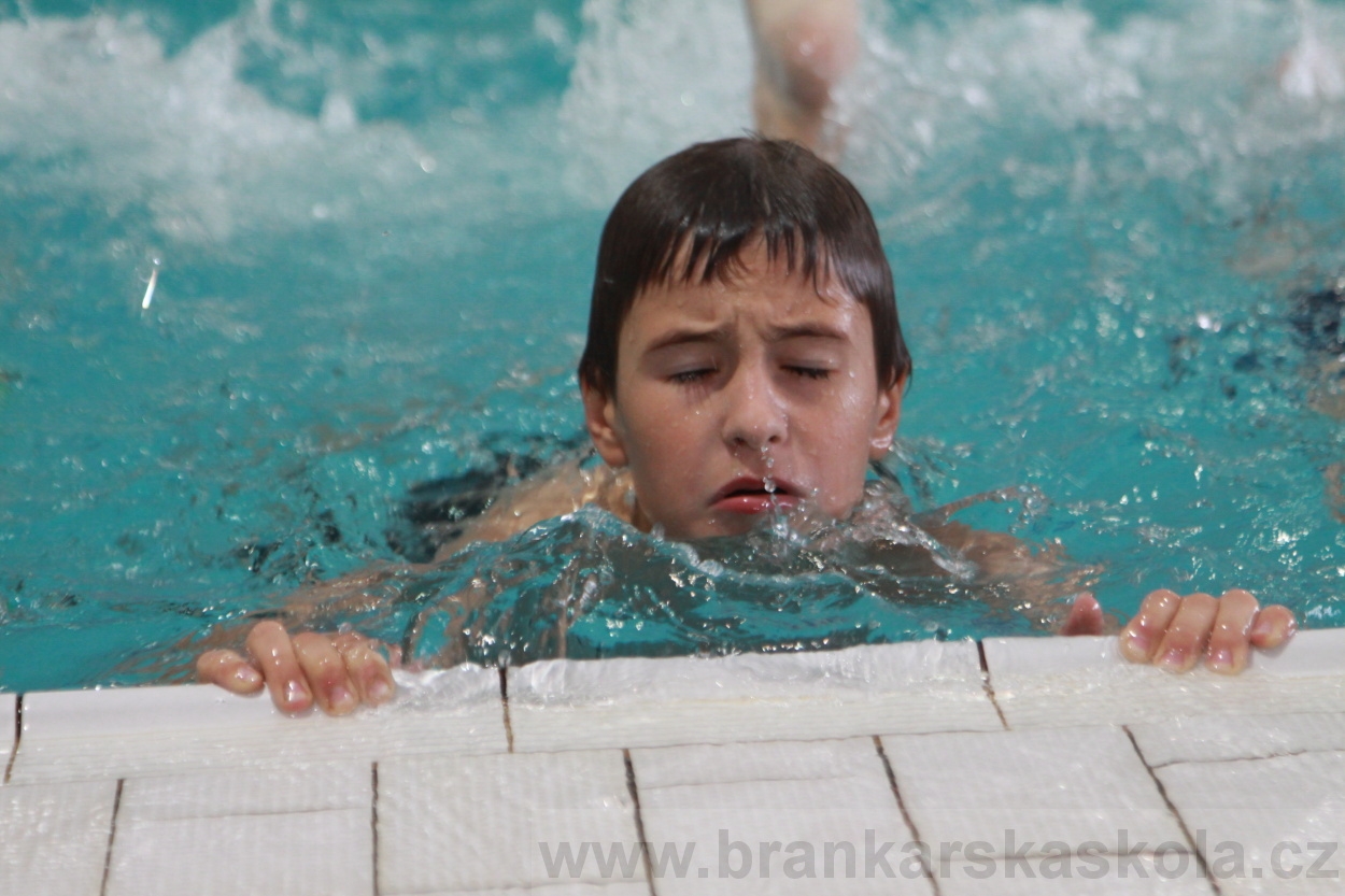 BFŠJCH - Léto 2019 - 5.8.2019