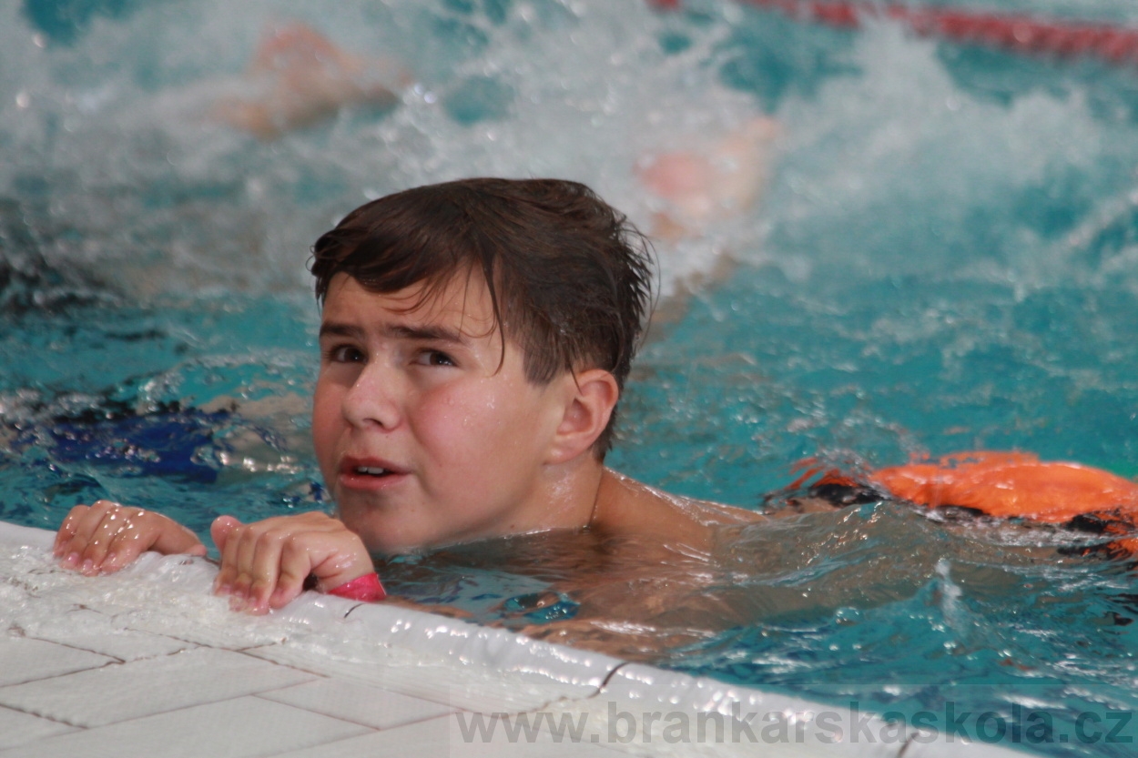 BFŠJCH - Léto 2019 - 5.8.2019