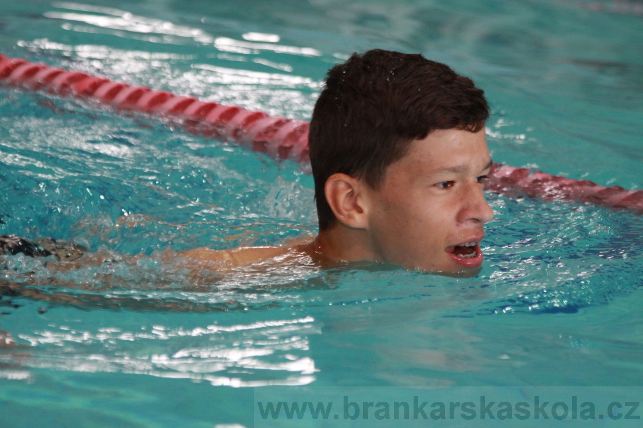 BFŠJCH - Léto 2019 - 5.8.2019