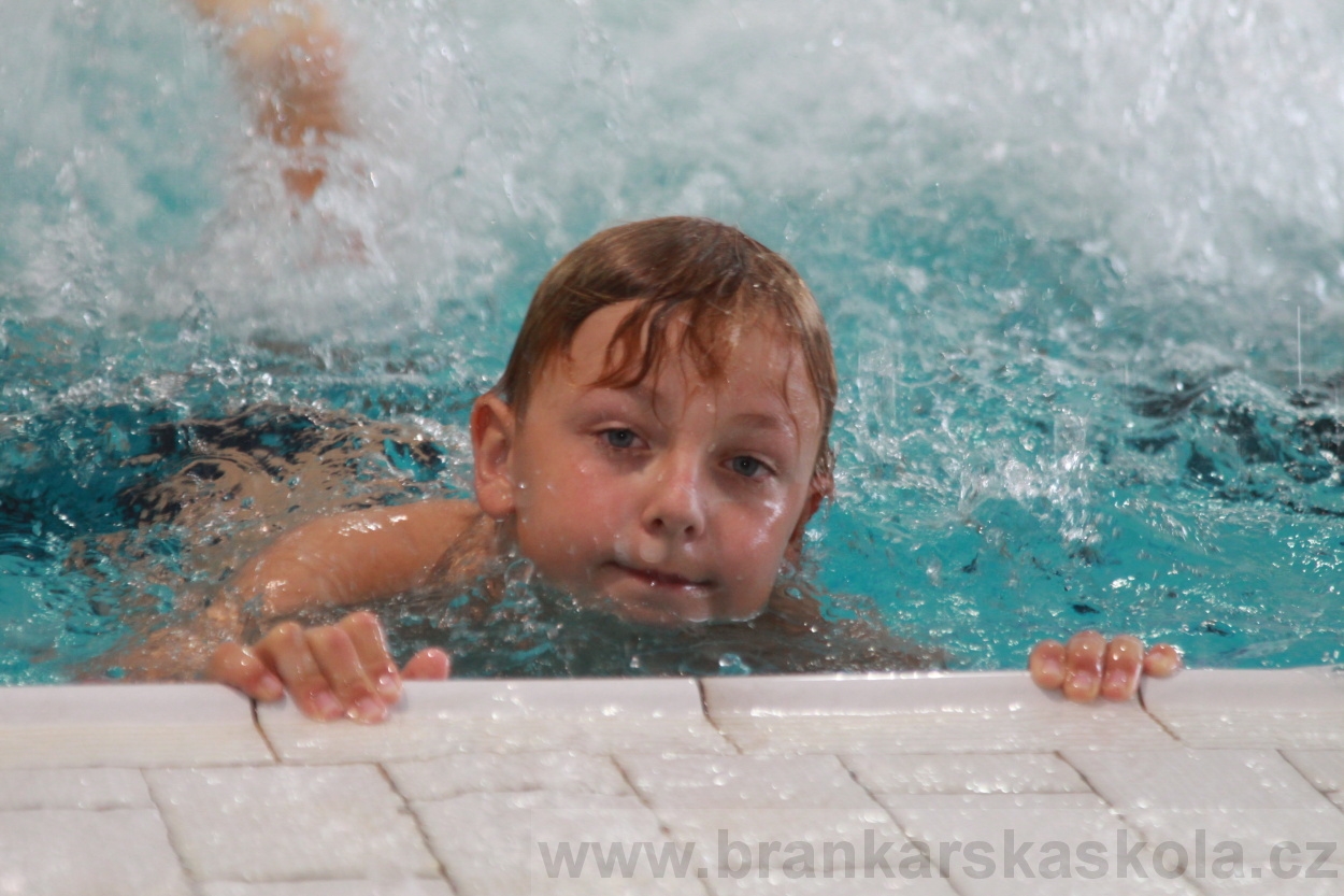 BFŠJCH - Léto 2019 - 5.8.2019