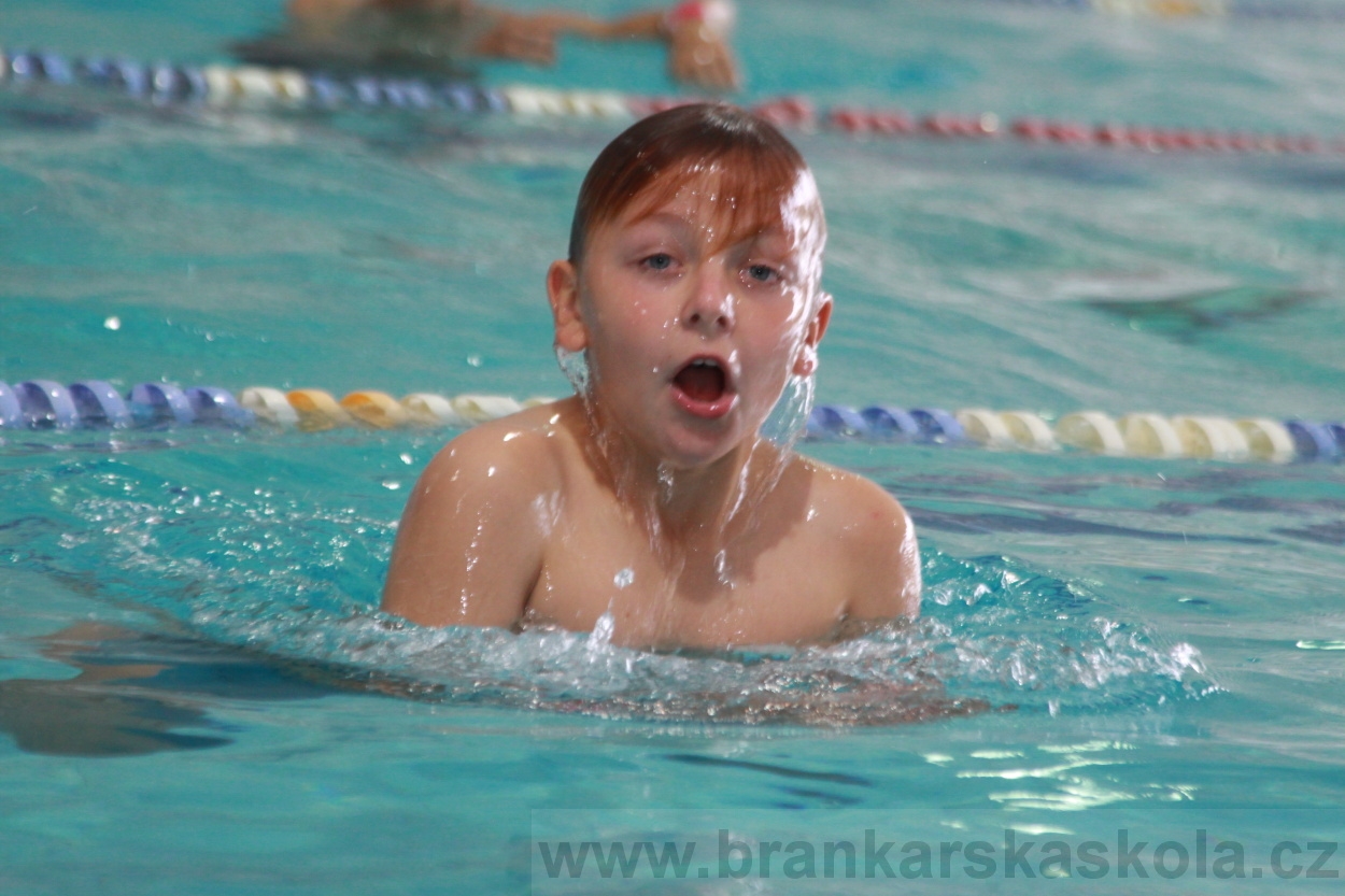 BFŠJCH - Léto 2019 - 5.8.2019