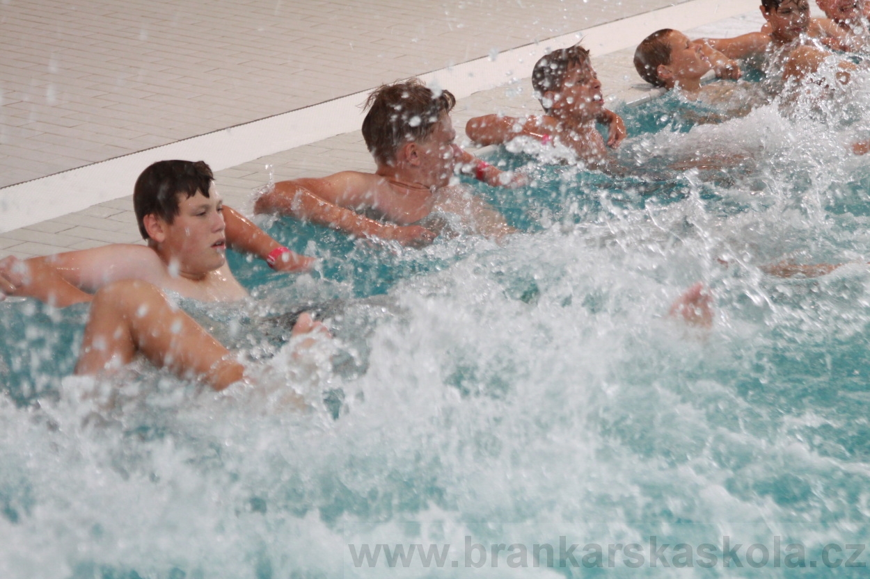 BFŠJCH - Léto 2019 - 5.8.2019