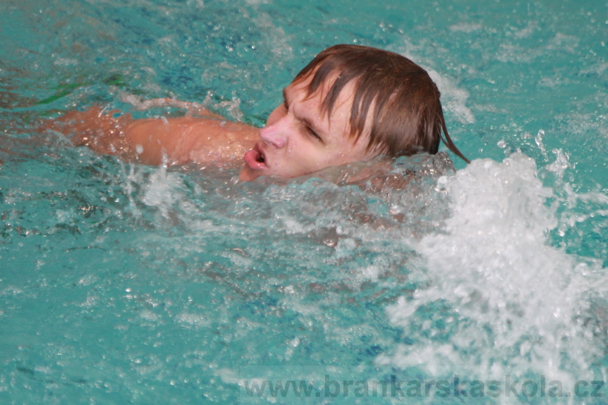 BFŠJCH - Léto 2019 - 5.8.2019