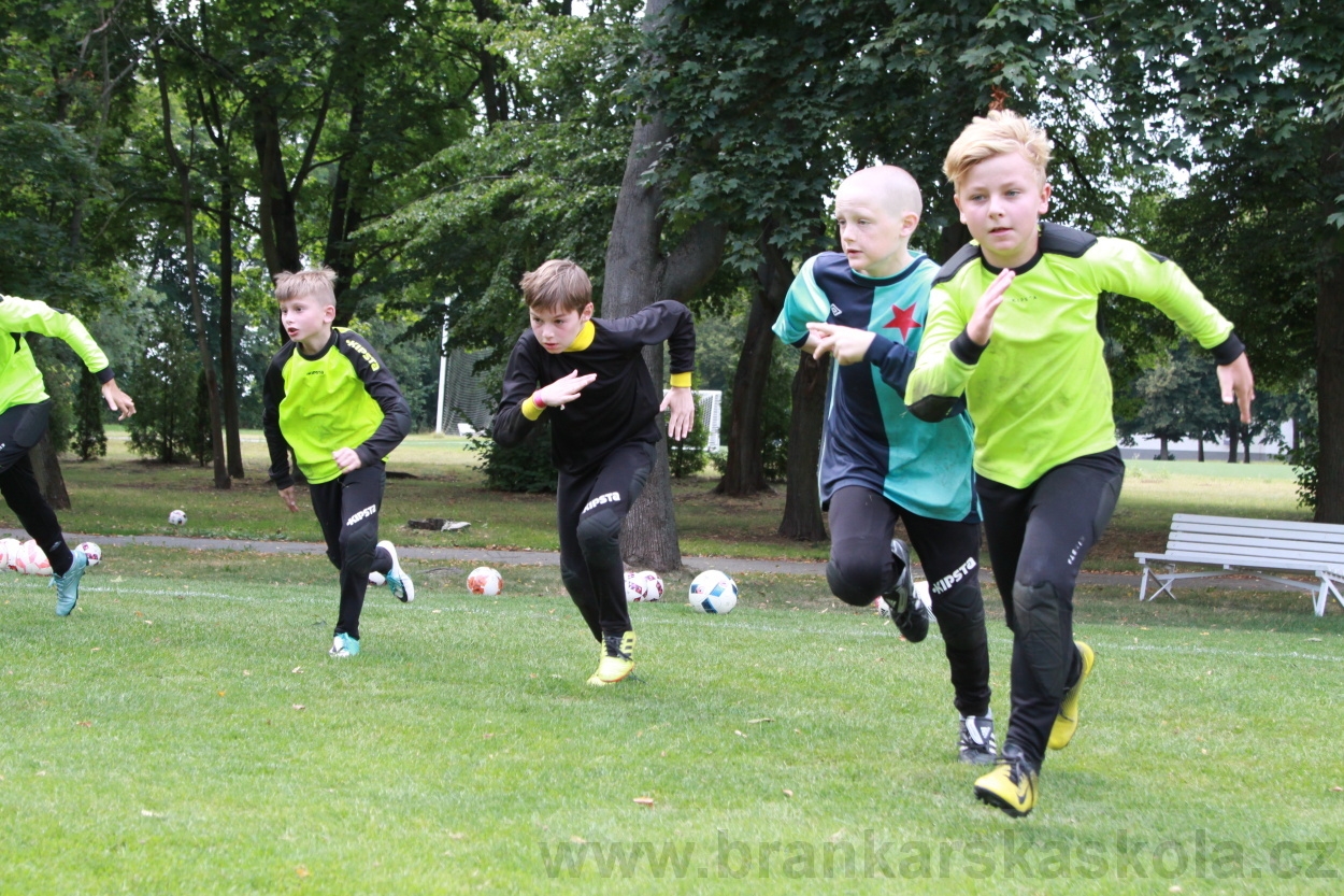 BFŠJCH - Léto 2019 - 5.8.2019